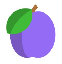 Medplum